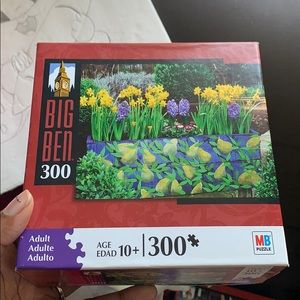 300 piece puzzle